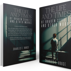 THE LIFE AND TIMES OF BRANDEN SCHULTZ AND OTHER WORKS